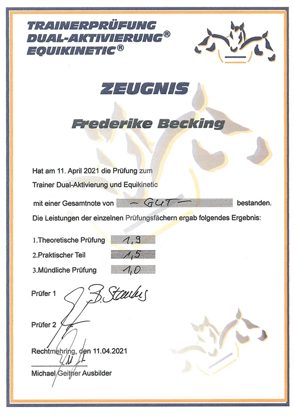 Trainer für Equikinetic und Dual-Aktivierung