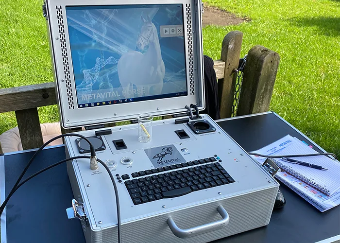 Metavital Scan und Haaranalyse mit Sensoren