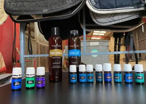 Ätherische Öle für Pferde