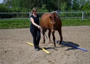 Anne und Ari in der Equikinetic