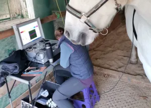 Arbeit mit dem Metavital-Scan