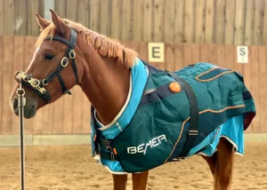 Bemer Therapie nach dem Training