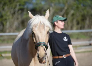 Einmal nachdenken bitte
