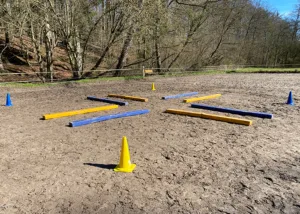 Kleeblatt beim Tageskurs