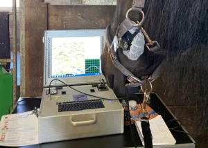 Malayo beim Metavital-Scan