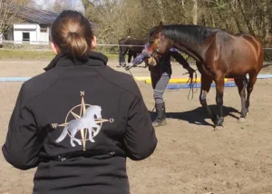 Modul der Ausbildung Pferdeverhaltenstherapeuten von Julia Neßler