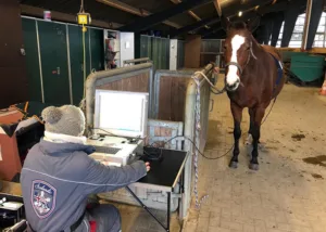 Orphinchen beim Metavital-Scan