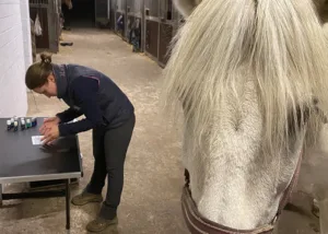 Solitario bei der Raindrop