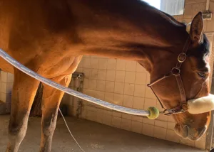 Tiefenentspannung während des Scans