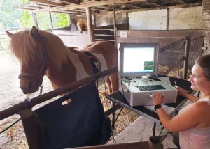 Tilvi beim Metavital-Scan